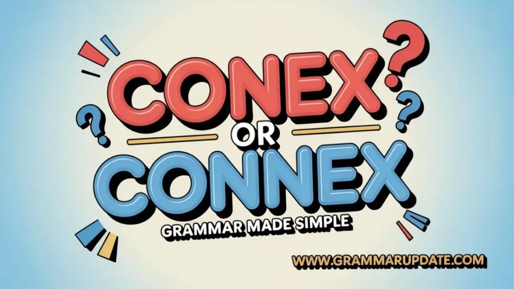 Conex or Connex Differences Explained