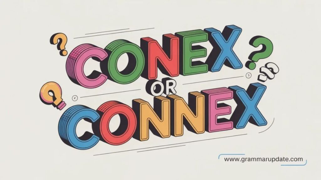 Conex or Connex The Quick Answer