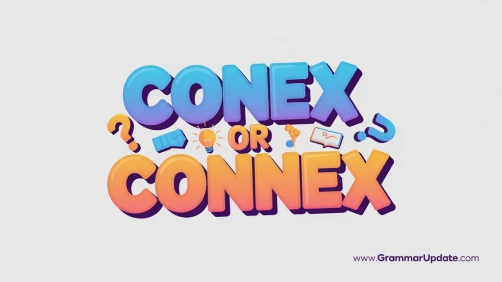 Conex vs Shipping Container