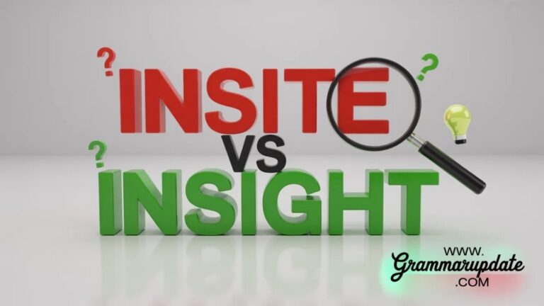 Insite vs Insight difference and Common Mistakes - Grammar Update
