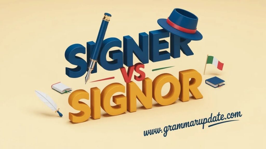 Signer vs Signor Difference and Correct Usage