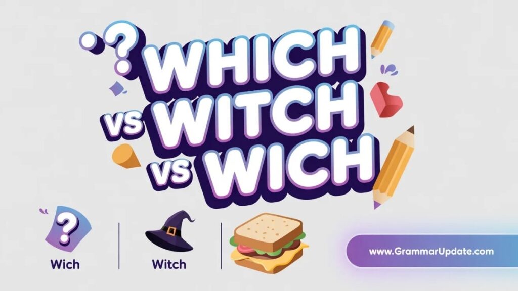 Which vs Witch Examples for Students