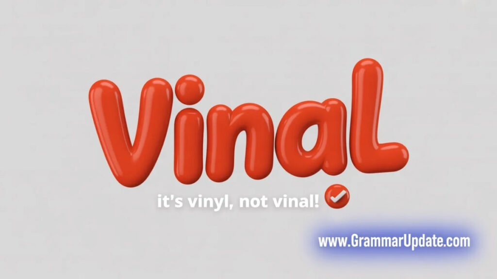 Vinal vs Vinyl Which Is the Correct One to Use?