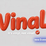 Vinal vs Vinyl Which Is the Correct One to Use?