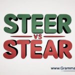 Steer vs Stear Spelling Mistake and Usage
