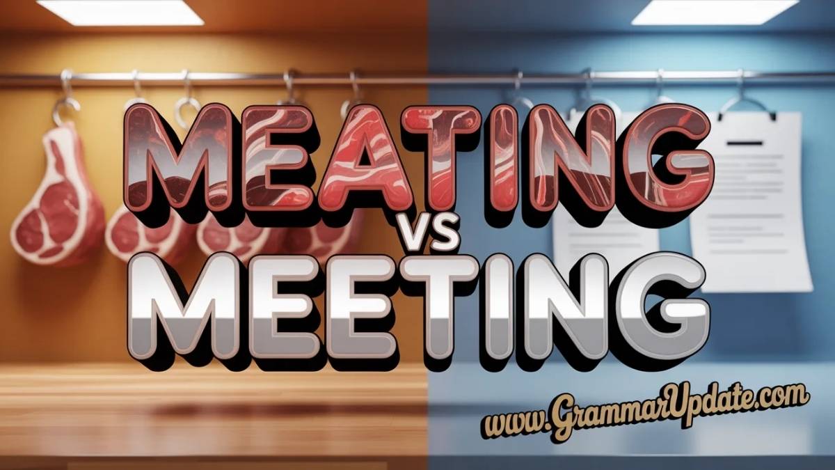 Meating vs Meeting Difference and Usage - Grammar Update