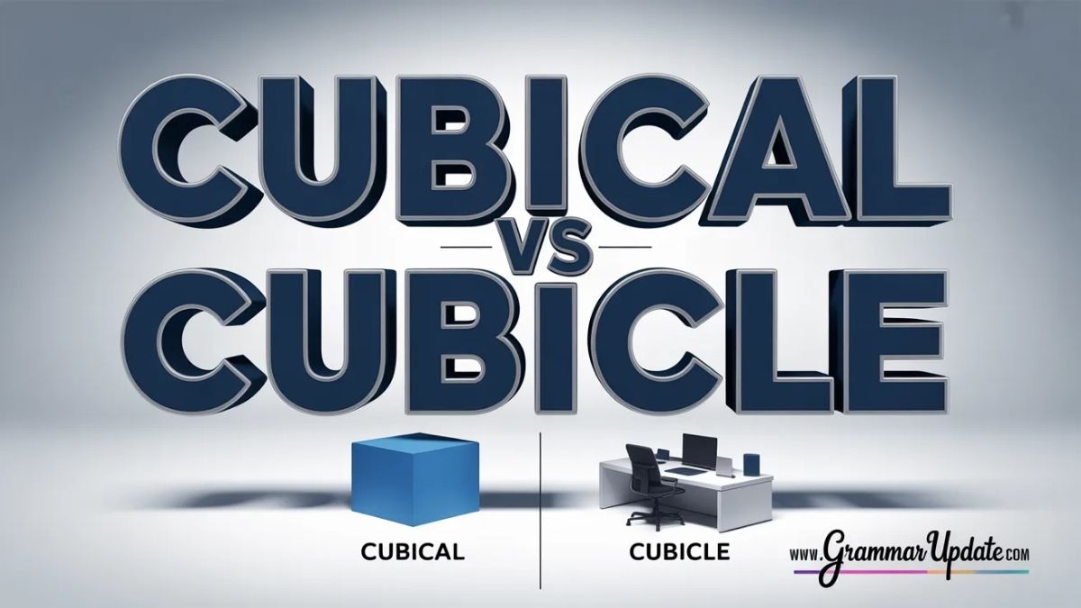 Cubical vs Cubicle Usage and Common Mistakes - Grammar Update