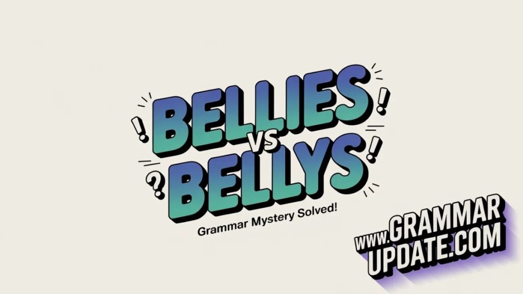 Bellies vs Bellys Which one is Correct?