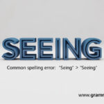 Seing vs Seeing Difference and Usage