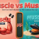 Muscle vs Mussel Which is Difference and usage?