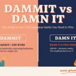 Dammit vs Damn It Which One Is Correct?