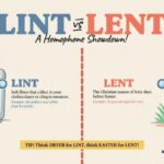 Lint vs Lent Difference Which one is correct?