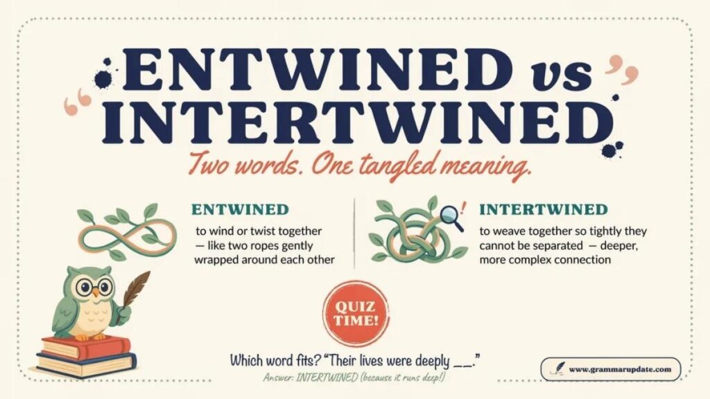 Entwined vs Intertwined What's the Difference and usage?