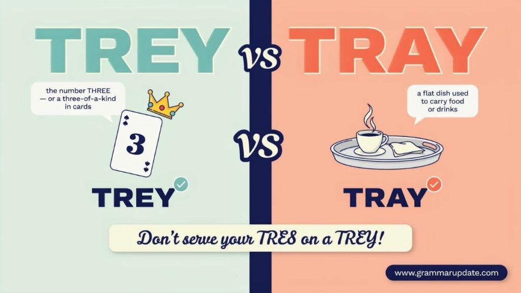 Trey vs Tray What's the Difference?