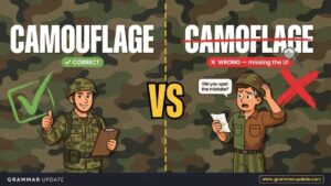 Camouflage Vs Camoflage Which one Is Correct?