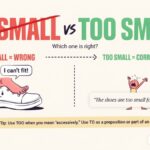 To Small vs Too Small Which one Is Correct?