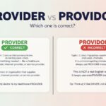 Provider vs Providor Which Word Is Correct?