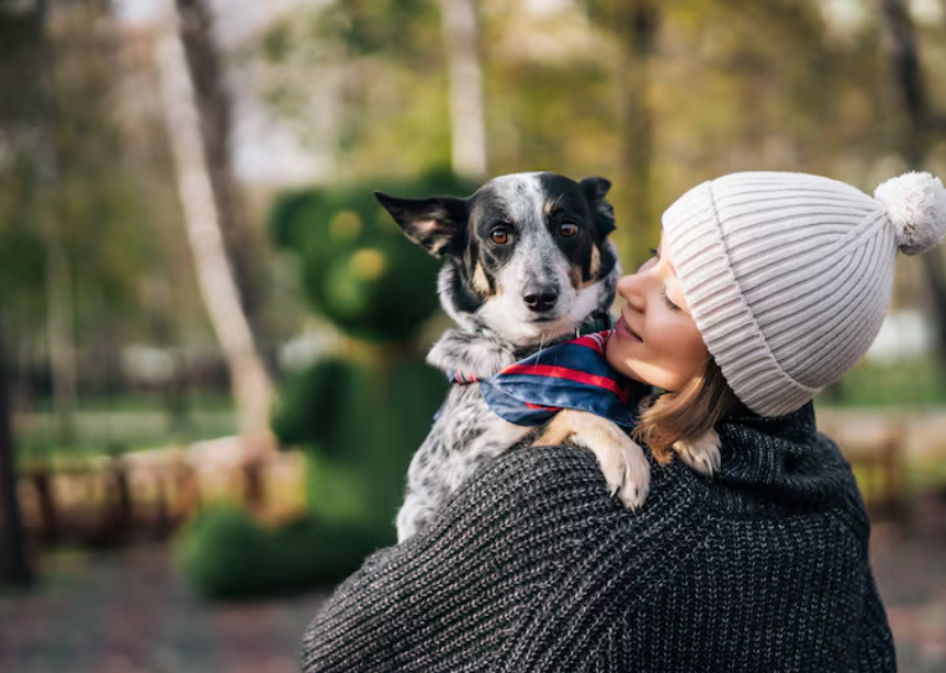 How Seasonal Weather Changes Affect Pet Health and Comfort