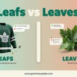 Leafs vs Leaves Which Is Correct and usage?